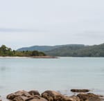 Cockle Creek 10