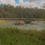 Nationalpark
