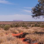 Uluru 1