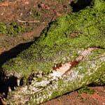 Wilderness Park 6