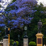 Perth 3