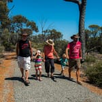 Wave Rock 1