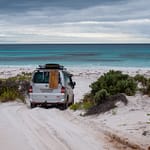 Fitzgerald NP 8