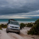 Fitzgerald NP 10