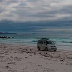 Fitzgerald NP 12