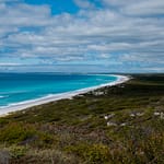 Fitzgerald NP 13