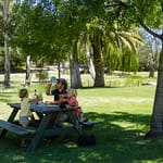 Barossa Valley 3