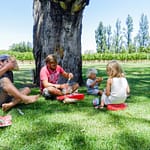 Barossa Valley 5