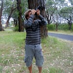 Great Ocean 5