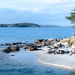Cockle Creek 2