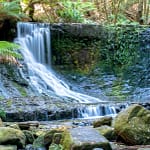 Mountfield NP 2