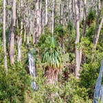 Mountfield NP 4