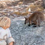 Freycinet NP 3