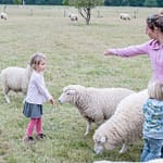 Tierfütterung 1