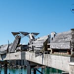Wellington 4
