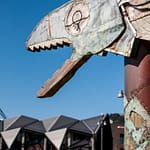 Wellington 6