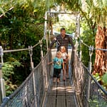 Te Papa Museum 3