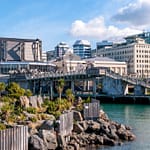 Wellington 7