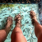 Fisch Spa 2