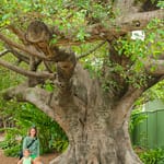 Botanischer Garten 1