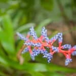 Botanischer Garten 2