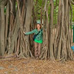 Botanischer Garten 3