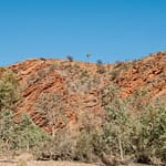 Finke Gorge 12