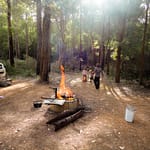 Nachtlager im Wald 2