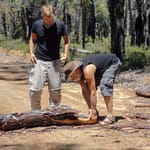 Fahrbahn freiraeumen 1