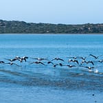 Coorong 2