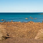 Penguin Stellplatz 1