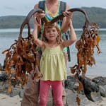 Meerespflanzenbock 2