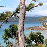 Bruny Island 5