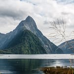 MIlford Sounds 1